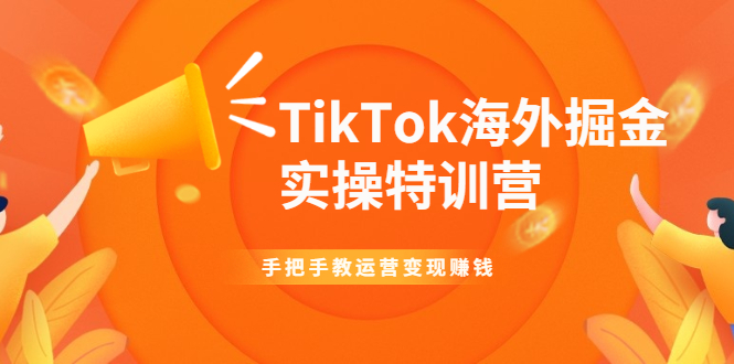 TikTok海外掘金实操特训营：手把手教运营变现赚钱【视频课程】-轻创社