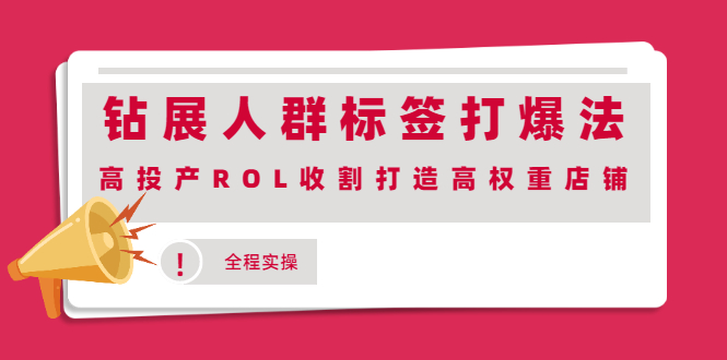 钻展人群标签打爆法，高投产ROL收割打造高权重店铺(全程实操)-轻创社
