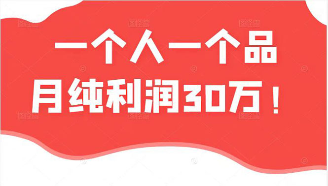 某公众号付费文章：一个人一个品月纯利润30万的蓝海电商经典案例！-轻创社