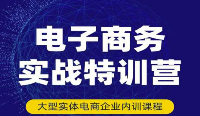 电子商务实战特训营，全方位带你入门电商，308种方式玩转电商-轻创社