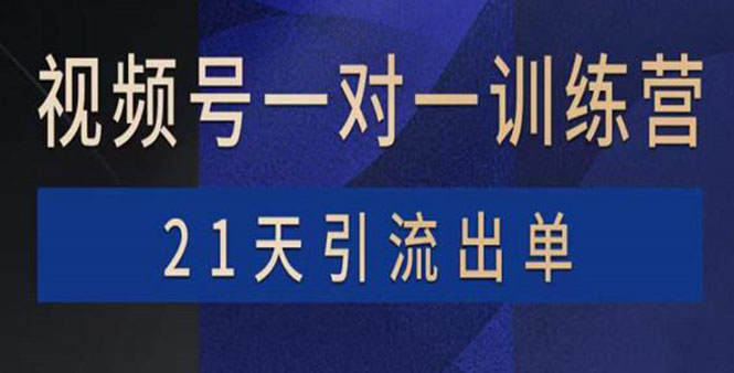 视频号训练营：带货，涨粉，直播，游戏，四大变现新方向，21天引流出单-轻创社