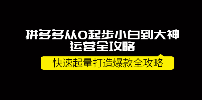 拼多多从0起步小白到大神运营全攻略，快速起量打造10W+爆款全攻略！-轻创社