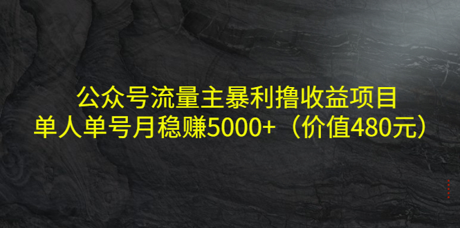 公众号流量主暴利撸收益项目，单人单号月稳赚5000+-轻创社