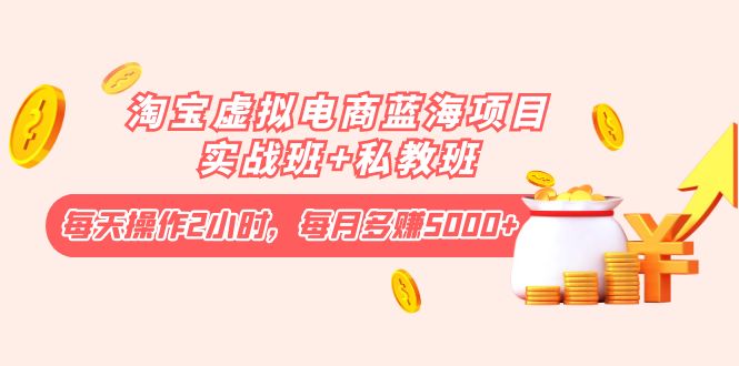 淘宝虚拟电商蓝海项目实战班+私教班：每天操作2小时，每月多赚5000+-轻创社