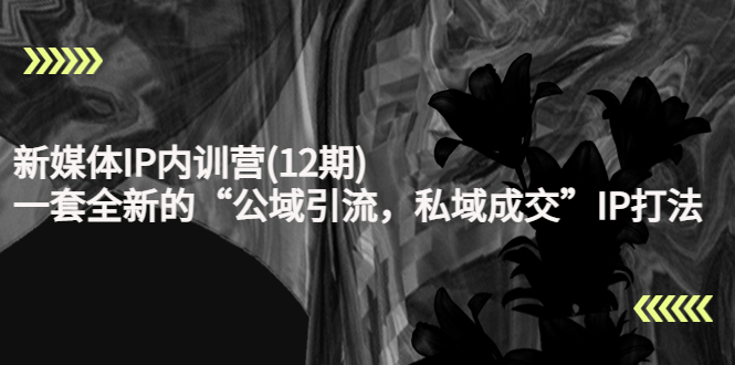 新媒体IP内训营(12期)，一套全新的“公域引流，私域成交”IP打法，直接带走-轻创社
