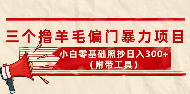 外面卖998的三个撸羊毛偏门暴力项目，小白零基础照抄日入300+-轻创社