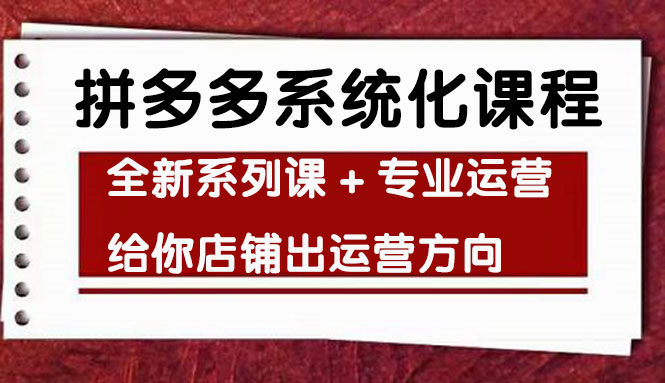 车神陪跑，拼多多系统化课程，全新系列课+专业运营给你店铺出运营方向-轻创社
