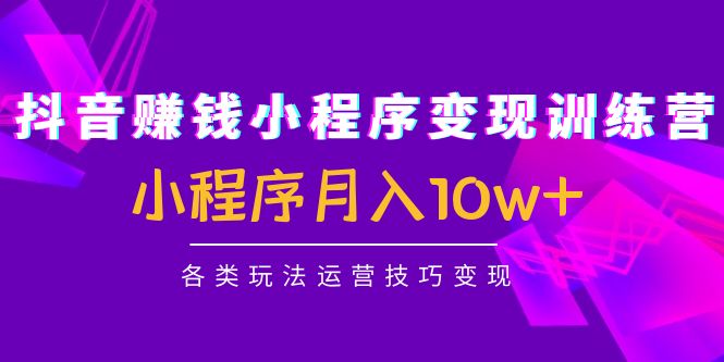 抖音赚钱小程序变现训练营：小程序月入10w+各类玩法运营技巧变现-轻创社