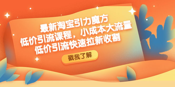 最新淘宝引力魔方低价引流实操：小成本大流量，低价引流快速拉新收割-轻创社
