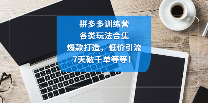 拼多多训练营：各玩法合集，爆款打造，低价引流，7天破千单等等！-轻创社