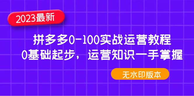 2023拼多多0-100实战运营教程，0基础起步，运营知识一手掌握-轻创社