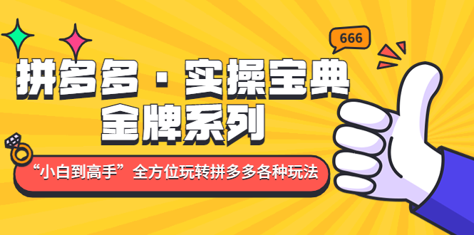 拼多多·实操宝典：金牌系列“小白到高手”带你全方位玩转拼多多各种玩法-轻创社