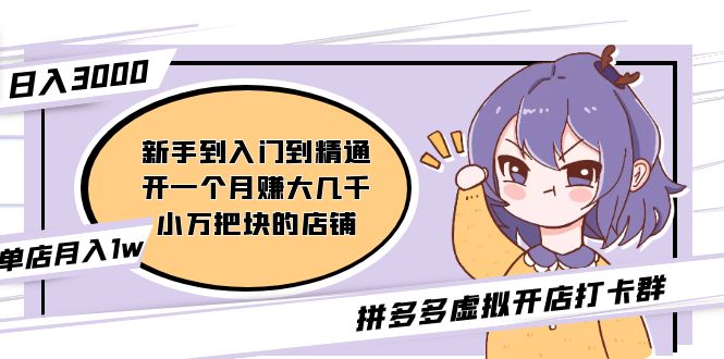 拼多多虚拟开店打卡群：入门到精通2月26更新-轻创社