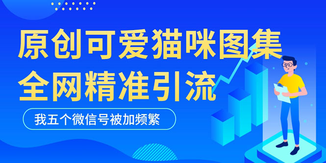 黑科技纯原创可爱猫咪图片，全网精准引流，实操5个VX号被加频繁-轻创社
