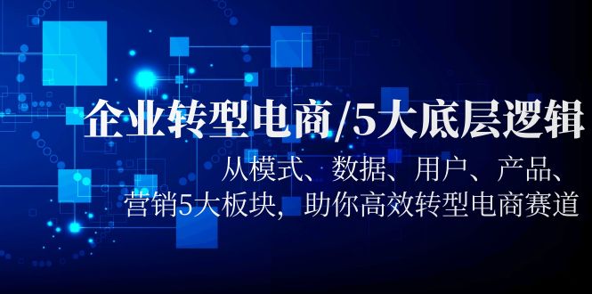 企业转型电商/5大底层逻辑，从模式 数据 用户 产品 营销5大板块，高效转型-轻创社