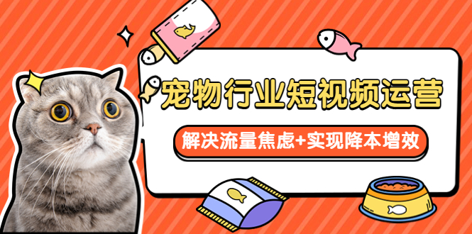 宠物/行业短视频运营  流量增长的一层窗户纸  解决流量焦虑+实现降本增效-轻创社