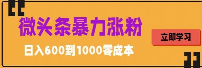 微头条暴力涨粉技巧搬运文案就能涨几万粉丝，简单0成本，日赚600-轻创社