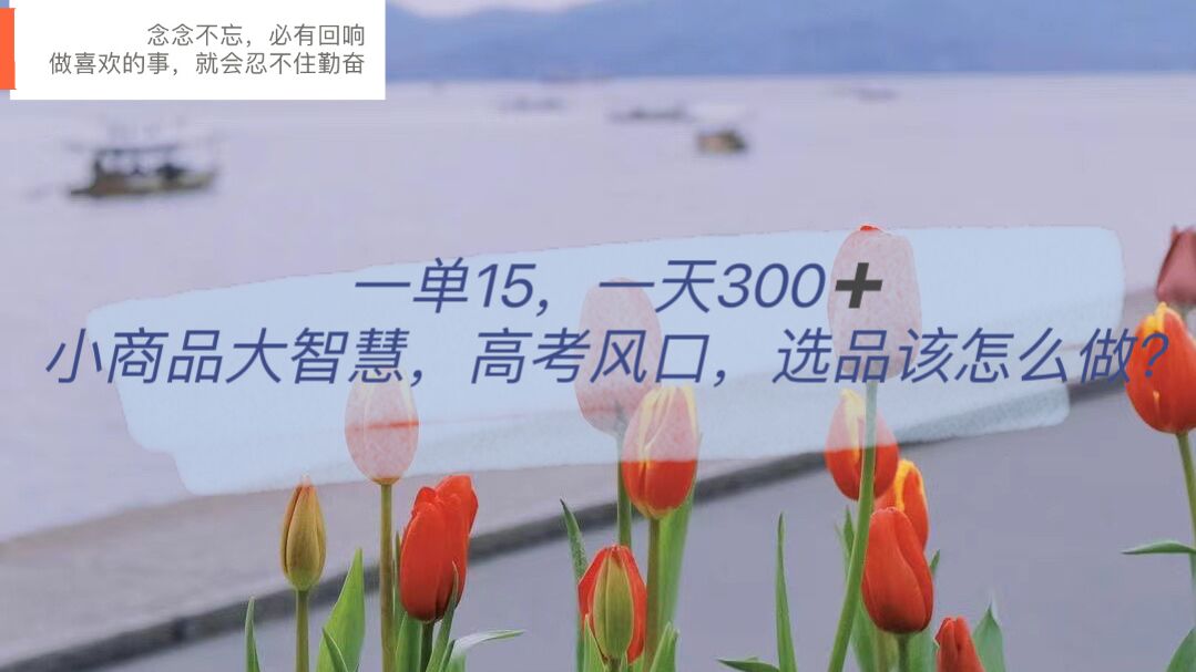 一单15，一天300+，小商品大智慧，高考风口，选品该怎么布局-轻创社