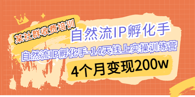 某社群收费培训：自然流IP 孵化手-14天线上实操训练营 4个月变现200w-轻创社
