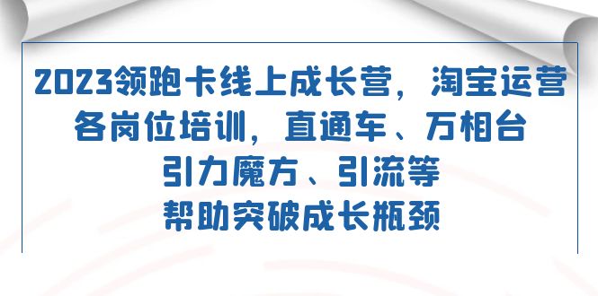 2023领跑·卡 线上成长营 淘宝运营各岗位培训 直通车 万相台 引力魔方 引流-轻创社
