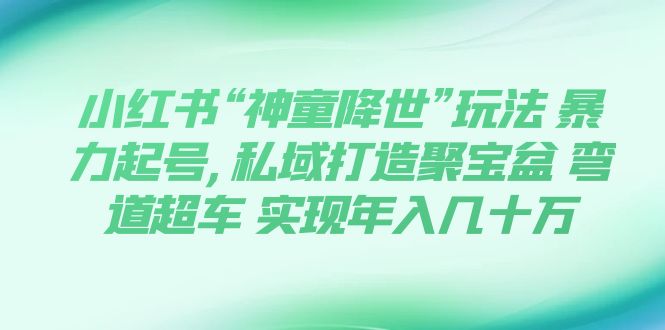 小红书“神童降世”玩法 暴力起号,私域打造聚宝盆 弯道超车 实现年入几十万-轻创社