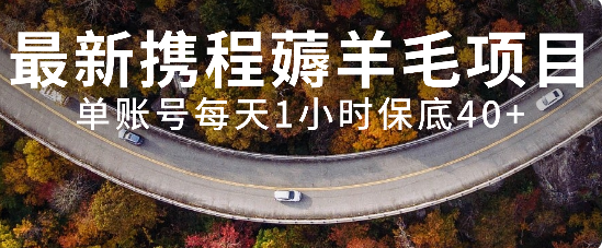 最新携程薅羊毛项目，单账号每天1小时保底收益40+，可矩阵操作-轻创社