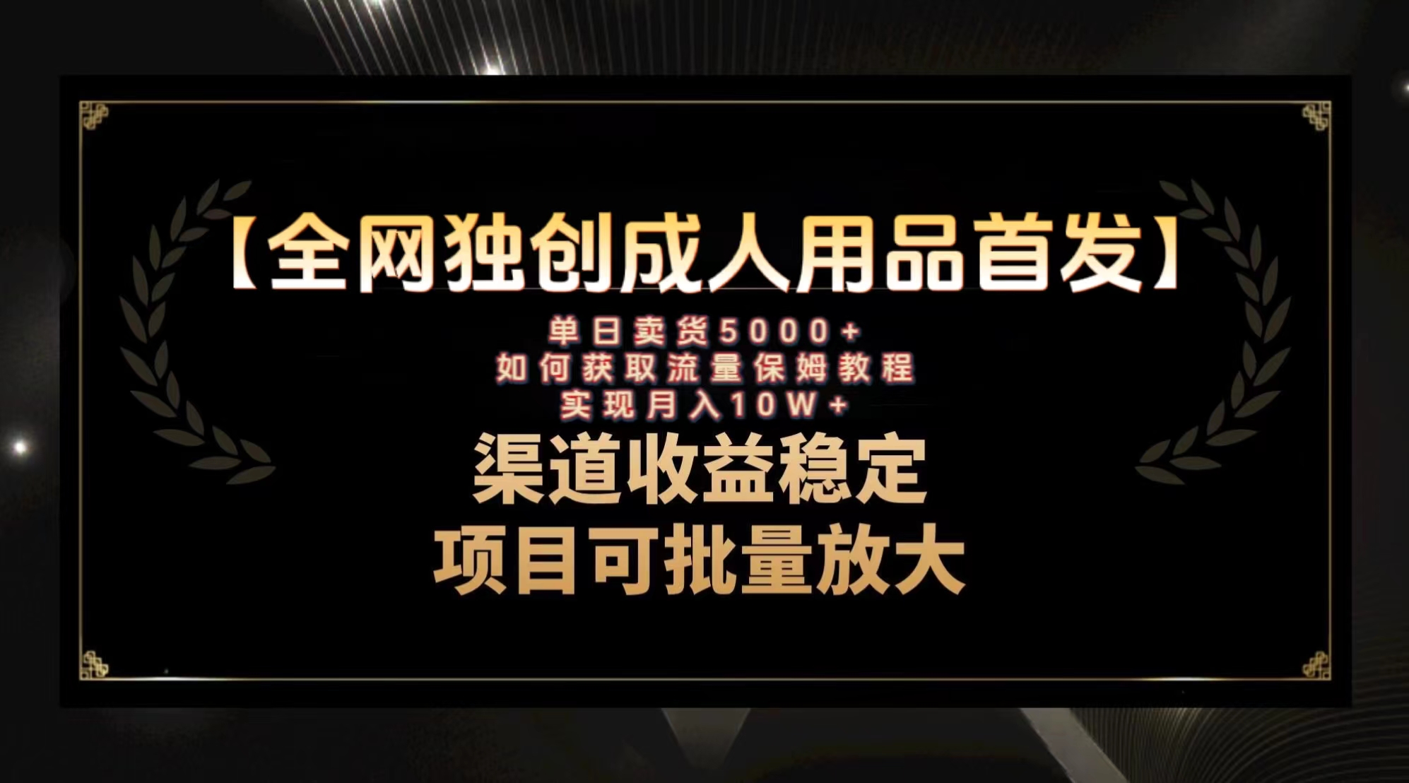 最新全网独创首发，成人用品赛道引流获客，月入10w保姆级教程-轻创社