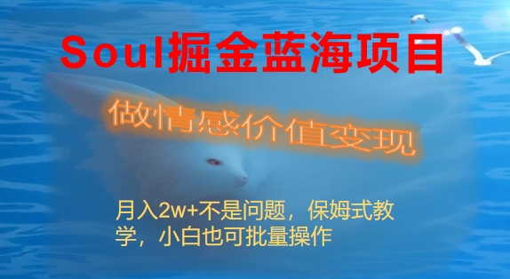 Soul掘金蓝海项目细分赛道，做情感价值变现，月入2w+不是问题-轻创社