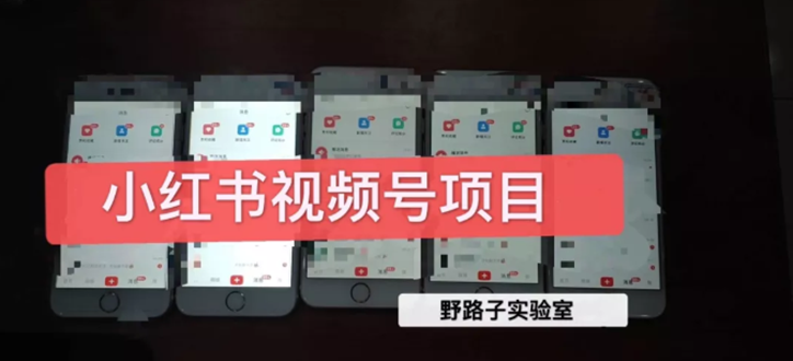 野路子小红书课程月入过万：直接上手操作就能赚钱的视频号项目 可长久操作-轻创社