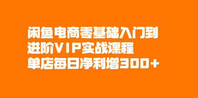 闲鱼电商零基础入门到进阶VIP实战课程，单店每日净利增300+-轻创社