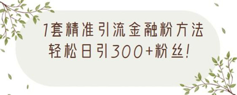 1套精准引流金融粉方法，轻松日引300+粉丝【视频课程】-轻创社