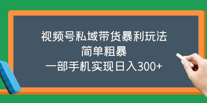 视频号私域带货暴利玩法，简单粗暴，一部手机实现日入300+-轻创社