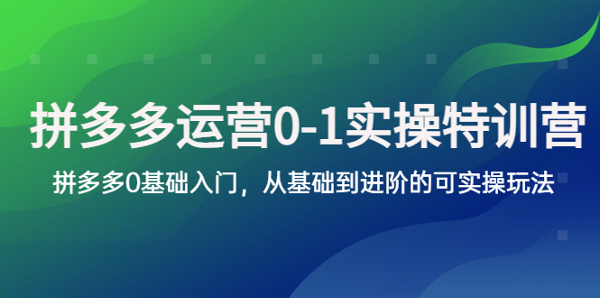 拼多多-运营0-1实操训练营，拼多多0基础入门，从基础到进阶的可实操玩法-轻创社