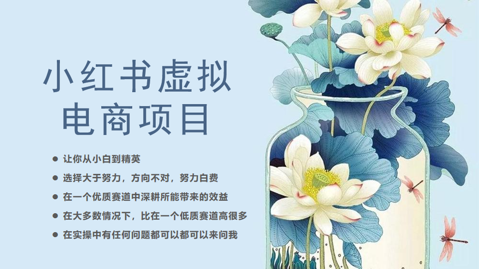 小红书虚拟电商从0到1，让你从小白到精英-轻创社