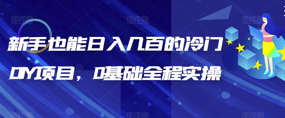 新手也能日入几百的冷门DIY项目，0基础全程实操【揭秘】-轻创社