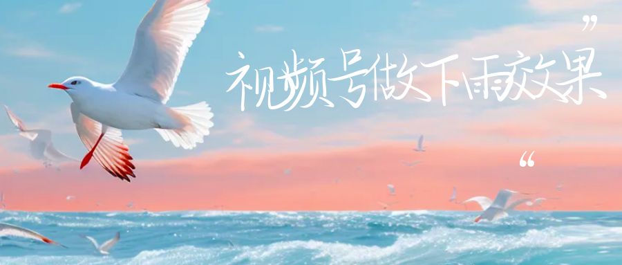 (6637期)视频号做下雨视频一个账号一周涨粉10W+年入100w-轻创社