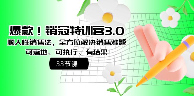 爆款！销冠特训营3.0之顺人性销售法，全方位解决销售难题、可落地、可执…-轻创社