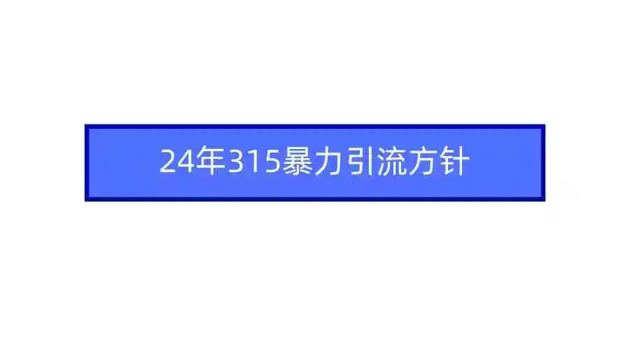 2024年315暴力引流方针-轻创社