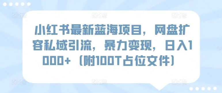 小红书最新蓝海项目，网盘扩容私域引流，暴力变现，日入1000+【揭秘】-轻创社