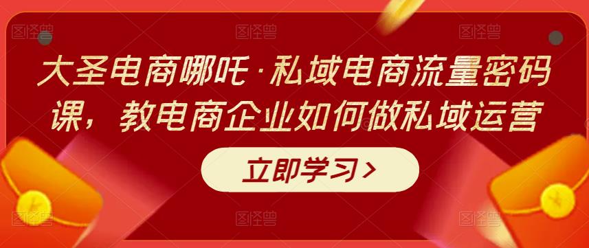 大圣电商哪吒·私域电商流量密码课，教电商企业如何做私域运营-轻创社