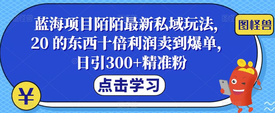 蓝海项目陌陌最新私域玩法，20 的东西十倍利润卖到爆单，日引300+精准粉【揭秘】-轻创社