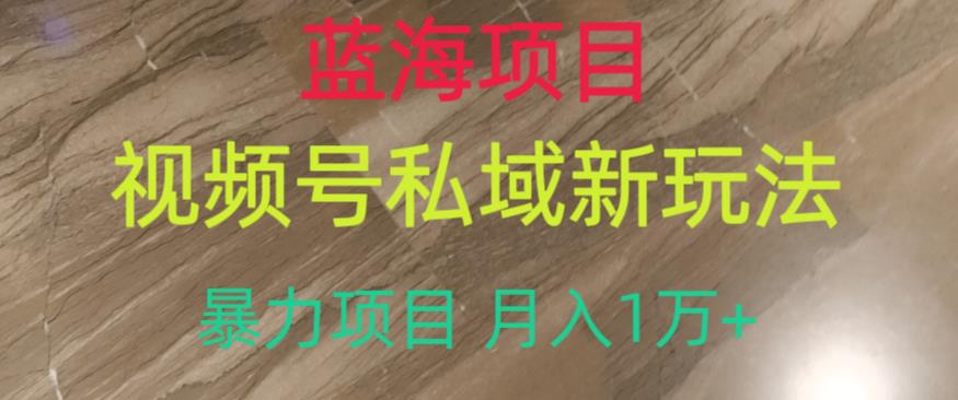 蓝海项目，视频号私域新玩法，暴力项目月入1万+【揭秘】-轻创社