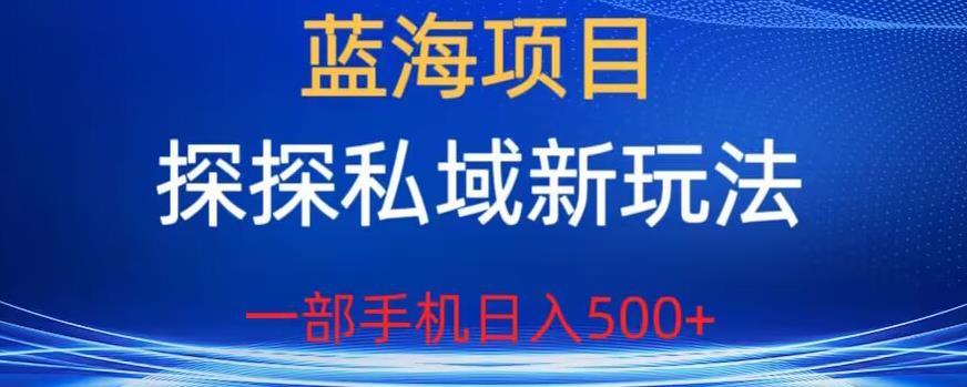 蓝海项目，探探私域新玩法，一部手机日入500+很轻松【揭秘】-轻创社