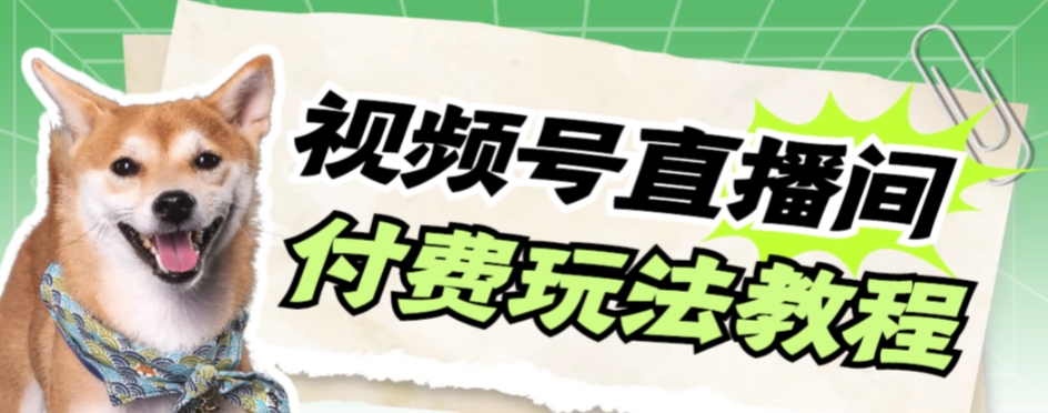 视频号美女付费无人直播，轻松日入500+【详细玩法教程】-轻创社