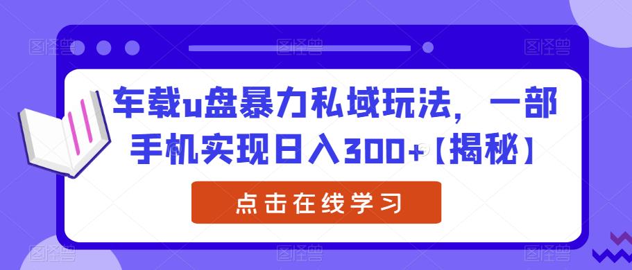 车载u盘暴力私域玩法，一部手机实现日入300+【揭秘】-轻创社