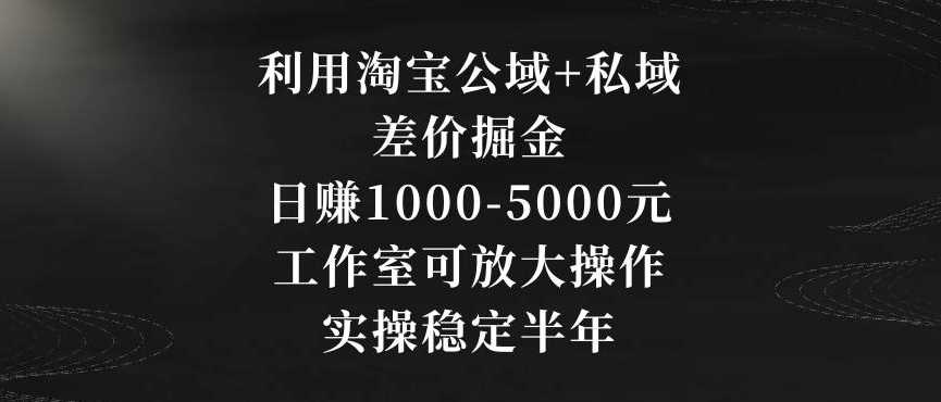 利用淘宝公域+私域差价掘金，日赚1000-5000元，工作室可放大操作，实操稳定半年【揭秘】-轻创社