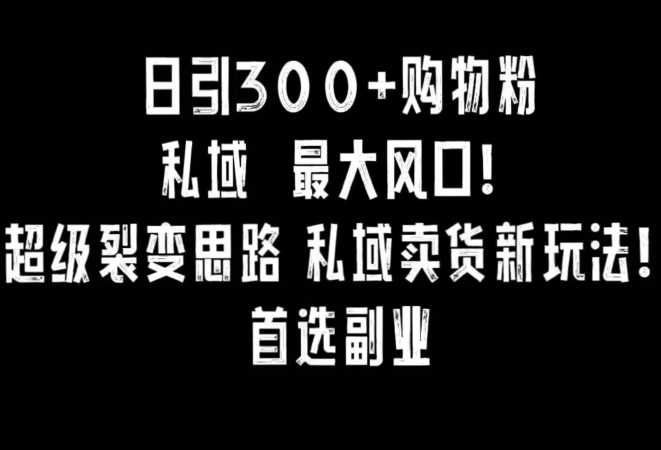 日引300+购物粉，超级裂变思路，私域卖货新玩法，小红书首选副业【揭秘】-轻创社