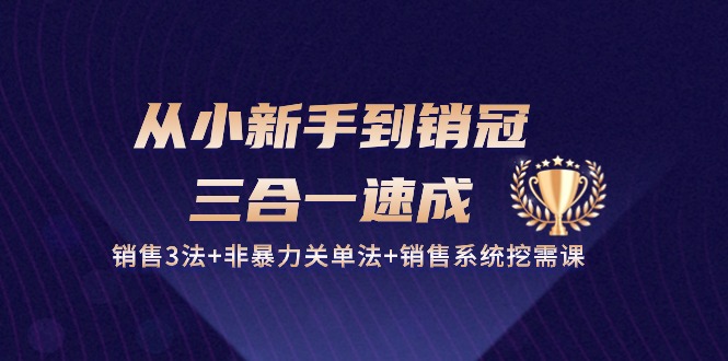 从小新手到销冠 三合一速成：销售3法+非暴力关单法+销售系统挖需课 (27节)-轻创社