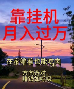 靠挂机，日入1000+，躺着也能吃肉，电脑手机都可挂-轻创社