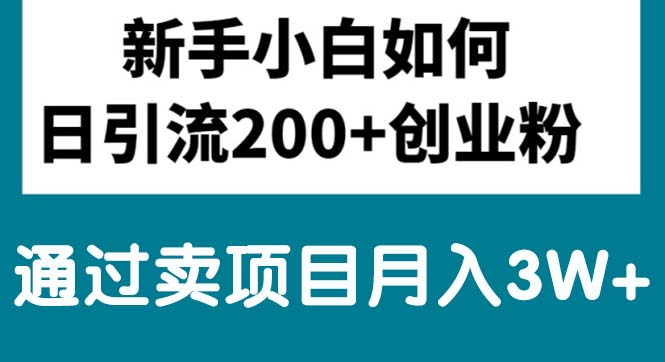 新手入门日引流方法200 自主创业粉,根据卖项目月入3W-轻创社